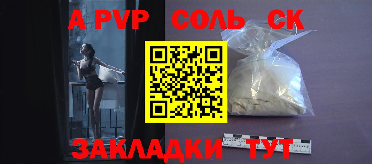 A PVP СК КРИС Вольск