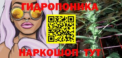 прущий лед Сланцы
