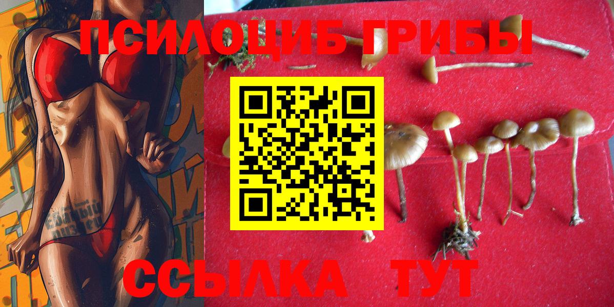 Галлюциногенные грибы MAGIC MUSHROOMS Вольск