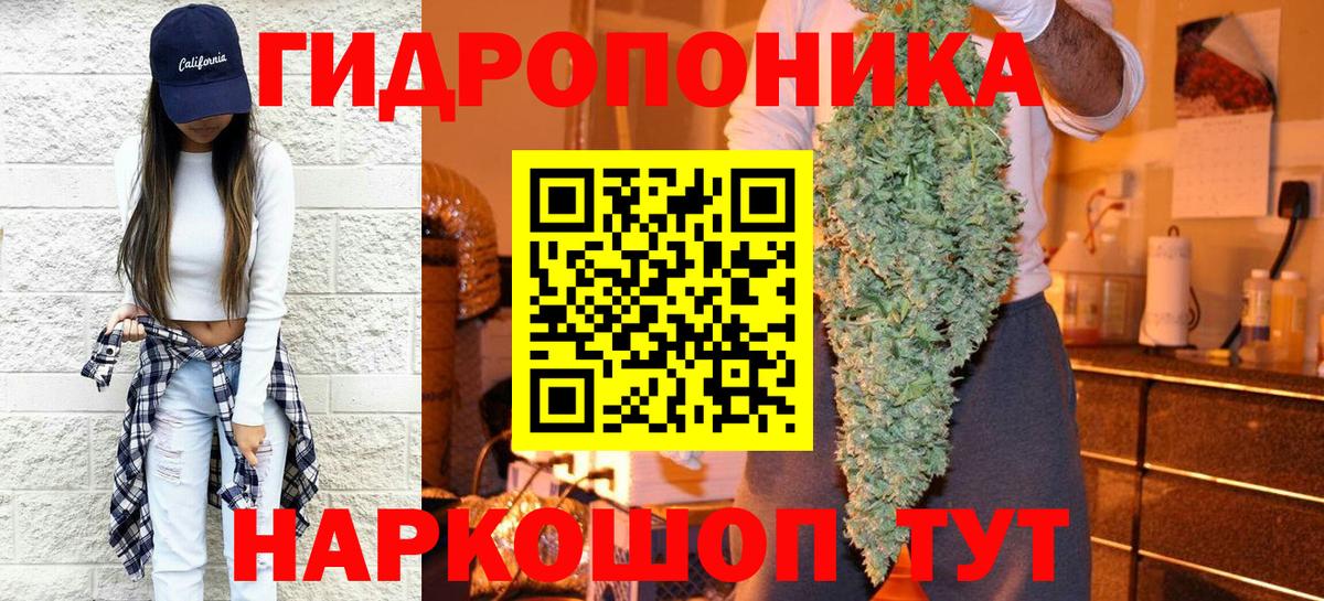 Канабис сатива Вольск